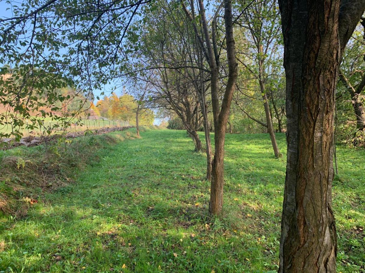 Conacul Maramuresean Bilgar Bogdan Vodă Buitenkant foto